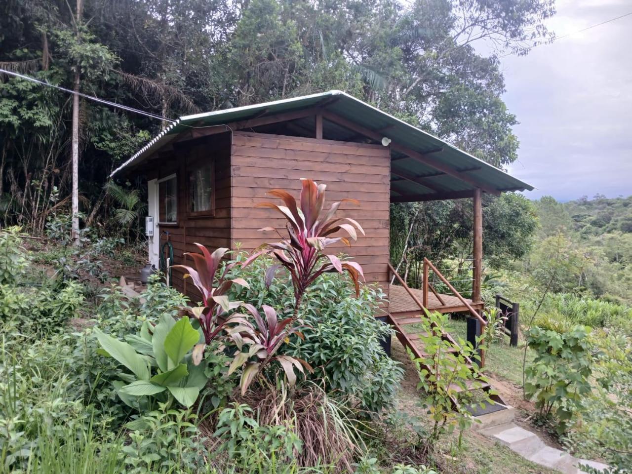 Cabana Manaca Da Serra موريتيس المظهر الخارجي الصورة